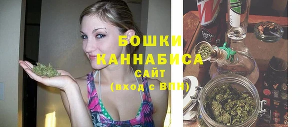 гидра Каменка