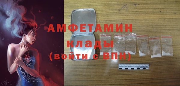 гидра Каменка