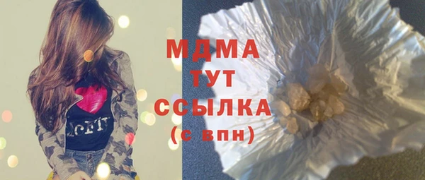 гидра Каменка