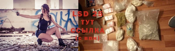 гидра Каменка