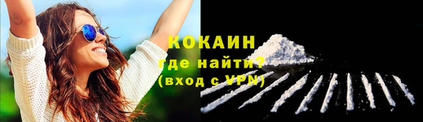 гидра Каменка