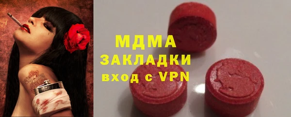 гидра Каменка
