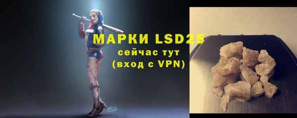 гидра Каменка