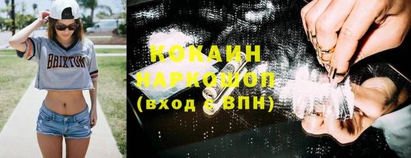 гидра Каменка