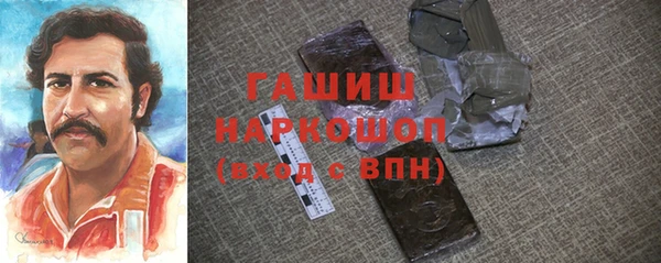 гидра Каменка