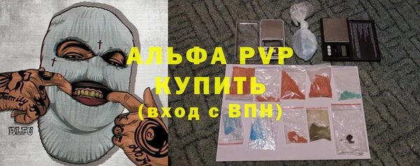 гидра Каменка