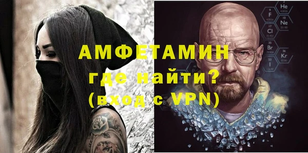гидра Каменка