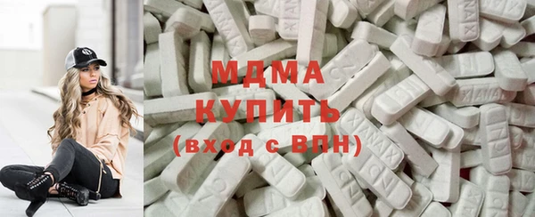 гидра Каменка