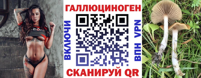 Купить Малгобек Псилоцибиновые грибы мицелий